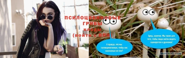 ALPHA-PVP Баксан